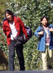 免费看精品黄线在线观看